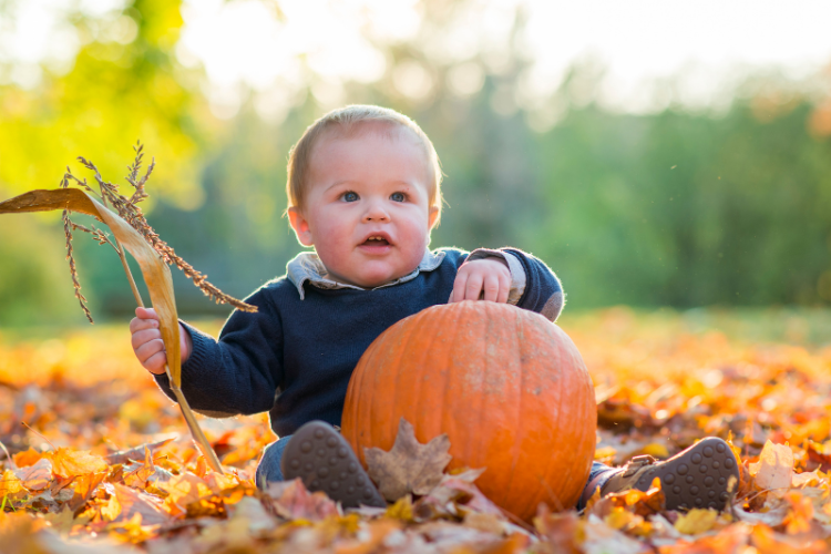 7 Ways to Celebrate Your Baby s First Thanksgiving Dr. Noze Best