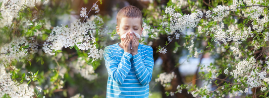 Allergies or a Cold? How to Tell The Difference